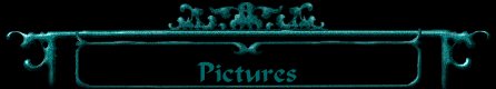 Pictures