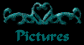 Pictures